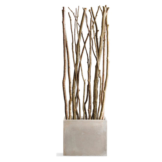 Alder Poles In Urbano Rectangle Planter, Sml By Gold Leaf Design Group | Planters, Troughs & Cachepots | Modishstore