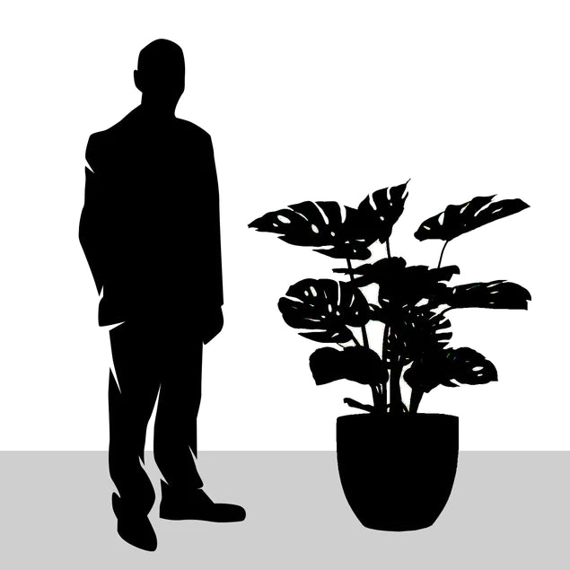 Monstera in Urbano Flared, LG By Gold Leaf Design Group | Planters, Troughs & Cachepots | Modishstore - 2