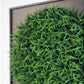 Mini Green Wall, Curly Grass by Gold Leaf Design Group | Green Wall | Modishstore-3