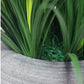 Grass: Liriope in Naoshima Planter, MD by Gold Leaf Design Group | Planters, Troughs & Cachepots | Modishstore-2