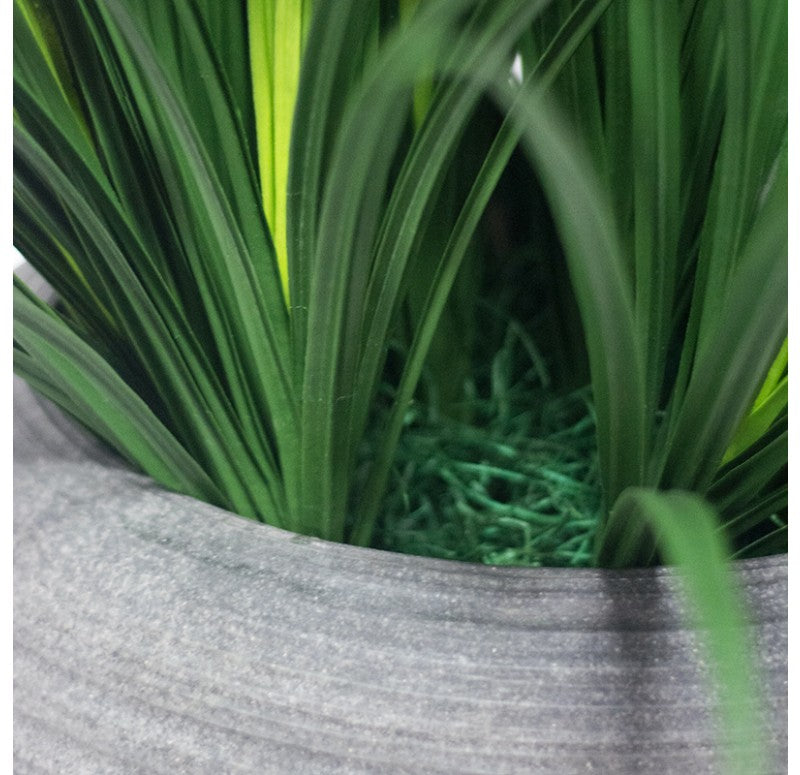 Grass: Liriope in Naoshima Planter, MD by Gold Leaf Design Group | Planters, Troughs & Cachepots | Modishstore - 2
