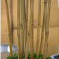 Bamboo Tree, Unpotted in Fiberglass Pia Planter by Gold Leaf Design Group | Planters, Troughs & Cachepots | Modishstore - 2