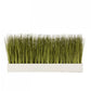 Linear Table Planter with Japanese Grass by Gold Leaf Design Group | Planters, Troughs & Cachepots | Modishstore