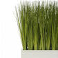 Linear Table Planter with Japanese Grass by Gold Leaf Design Group | Planters, Troughs & Cachepots | Modishstore-2