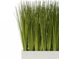 Linear Table Planter with Japanese Grass by Gold Leaf Design Group | Planters, Troughs & Cachepots | Modishstore - 2