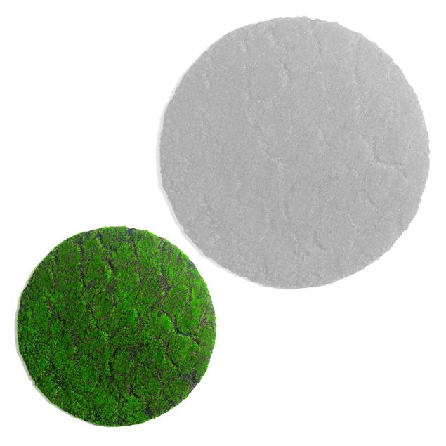 Green Wall, 'New Moss', Disc by Gold Leaf Design Group | Green Wall | Modishstore - 4