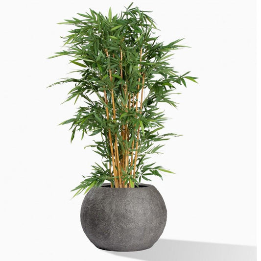 Gold Leaf Design Group Planter, Bamboo Tree Piedra - Small | Planters, Troughs & Cachepots | Modishstore