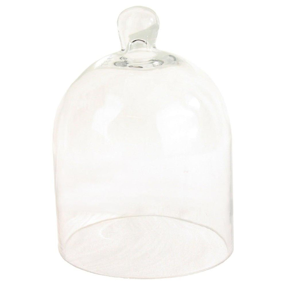 HomArt Glass Dome - Clear | Glass Terrariums | 8153-0 | Modishstore - 2
