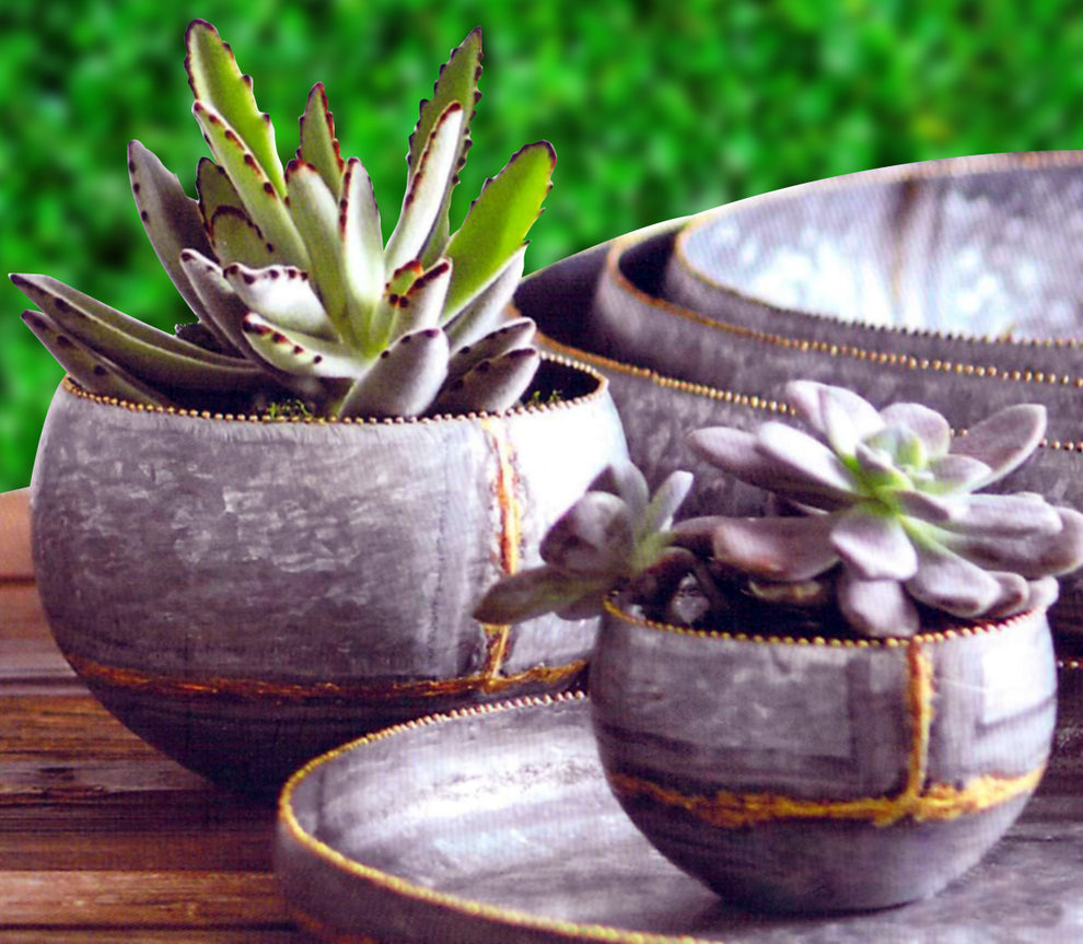 Roost Braza Mini Tall / Wide Planters-7