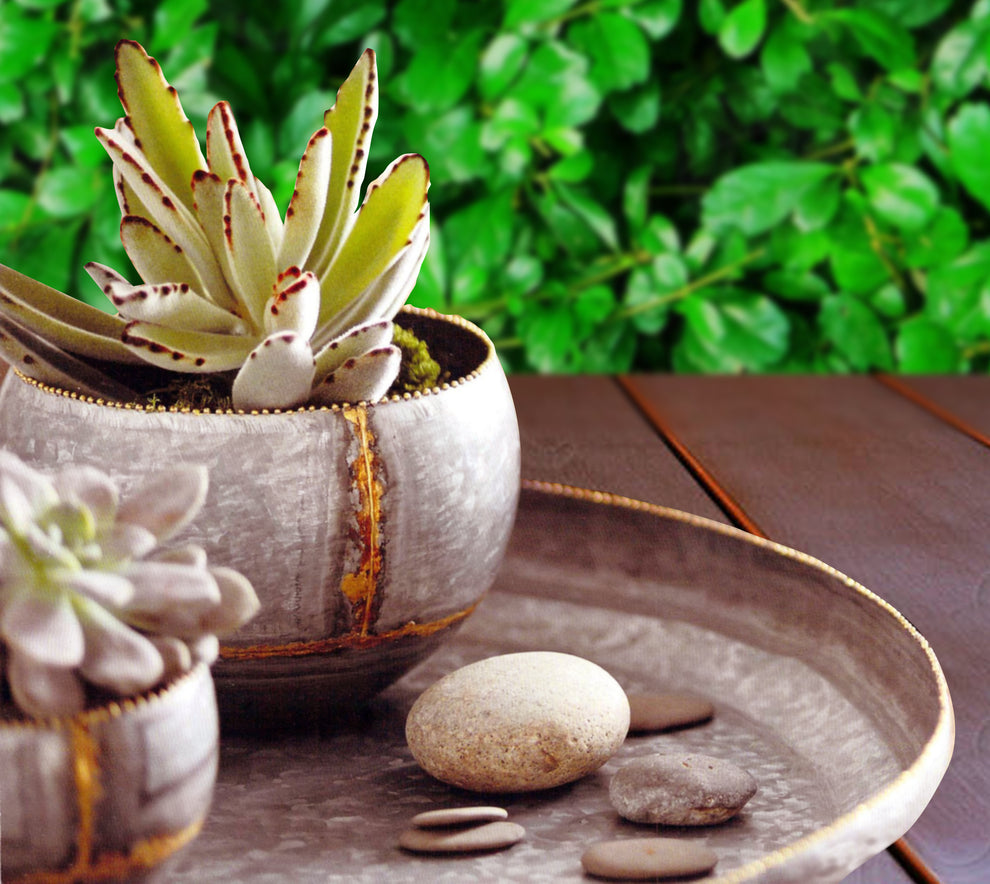 Roost Braza Mini Tall / Wide Planters-8