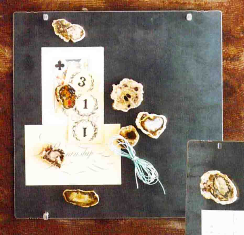 Roost Petrified Wood Magnets - Set Of 6-7