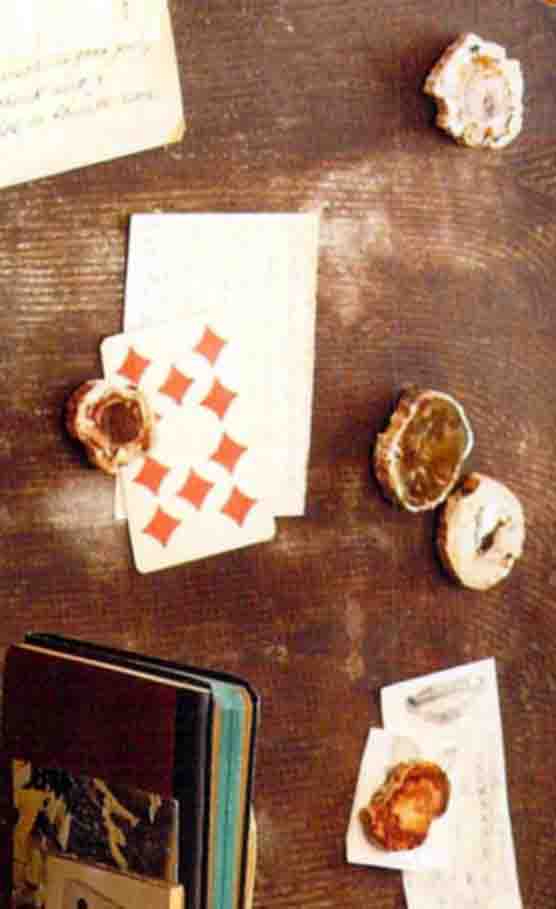 Roost Petrified Wood Magnets - Set Of 6-8