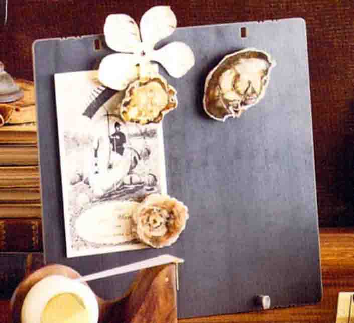 Roost Petrified Wood Magnets - Set Of 6-9
