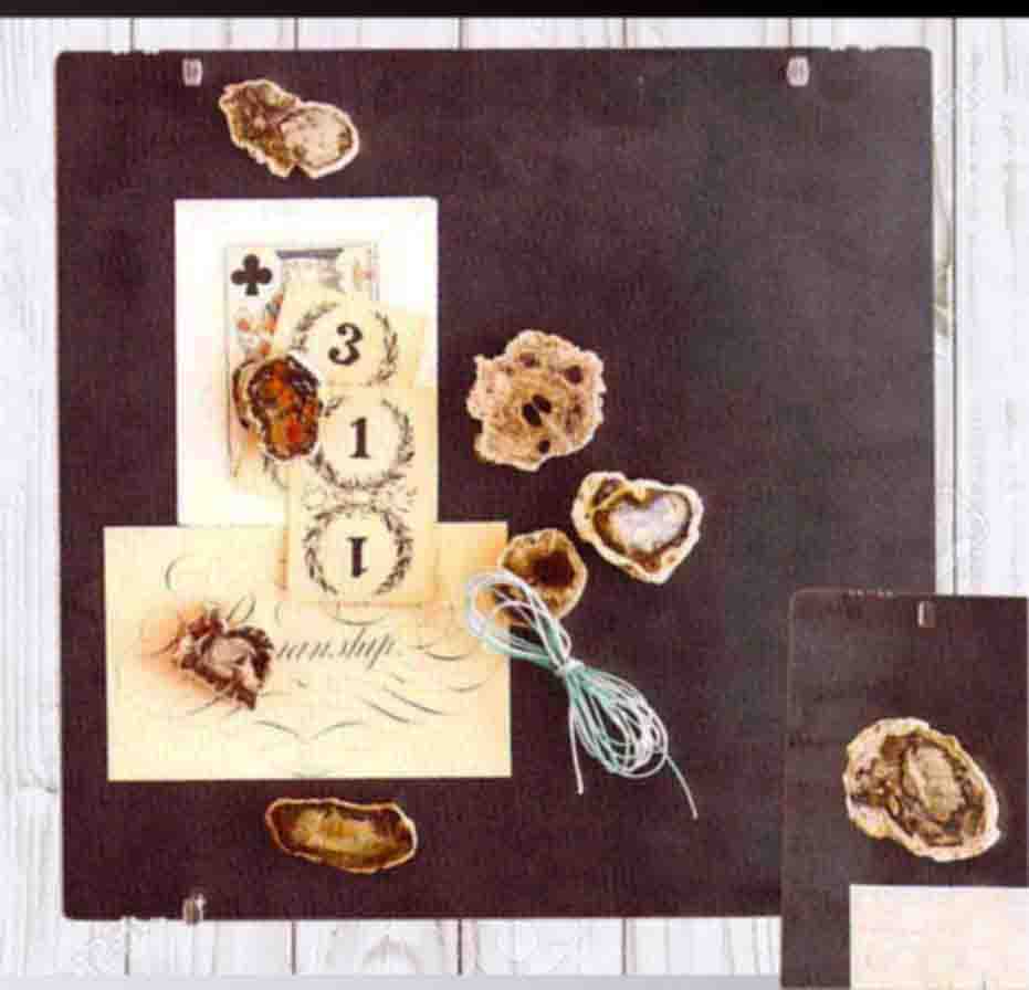 Roost Petrified Wood Magnets - Set Of 6-11