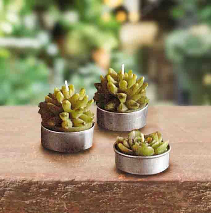Roost Potted Succulent Candles-9