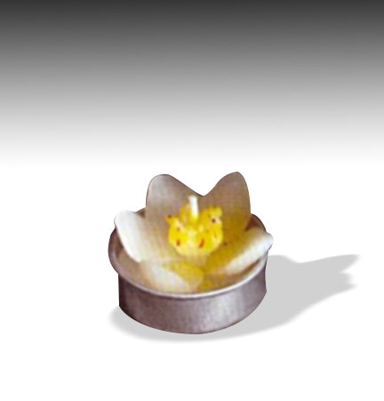 Roost Potted Succulent Candles-11