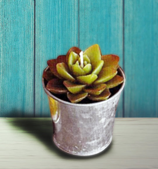 Roost Potted Succulent Candles-12