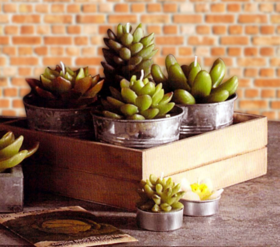 Roost Potted Succulent Candles-13