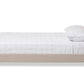 baxton studio elizabeth modern and contemporary beige fabric upholstered panel stitched queen size platform bed | Modish Furniture Store-3