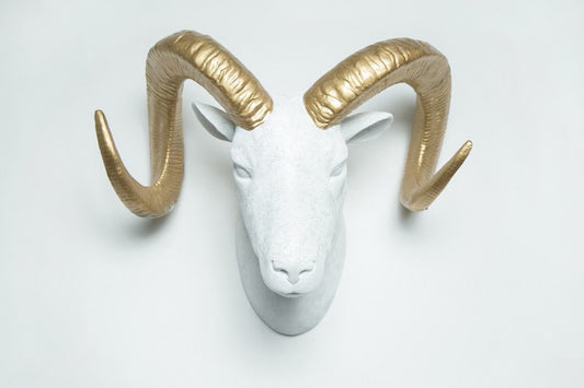 Interior Illusions Plus Goat Head Taxidermy White/Gold - 20" wide | Trophy Head | Modishstore