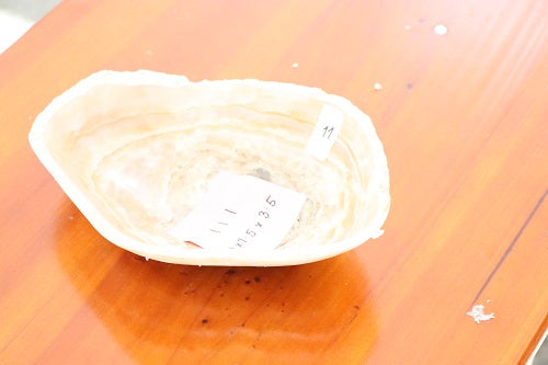 Raw Edge Natural Free Form Onyx Bowl-2