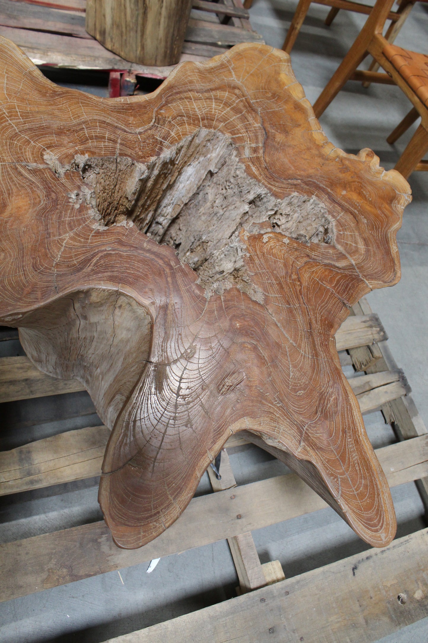 Ascoli Tavolo Old Teak Natural Coffeee Table |  Modishstore - 4