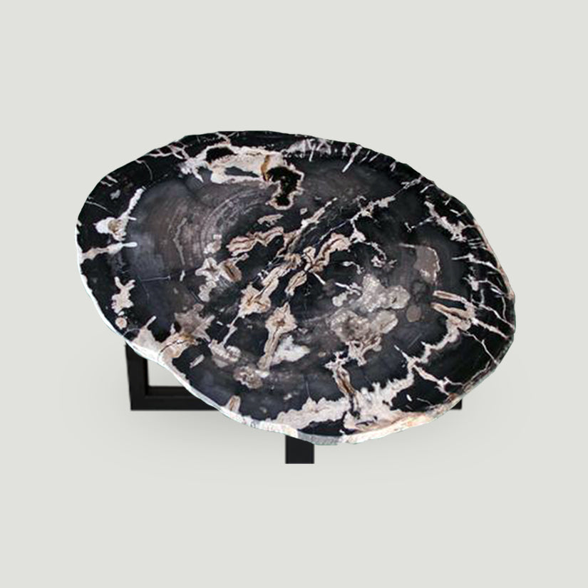 Petrified Wood Slab Coffee Table - 36" x 26" x 2"H - PFT0416/21-2
