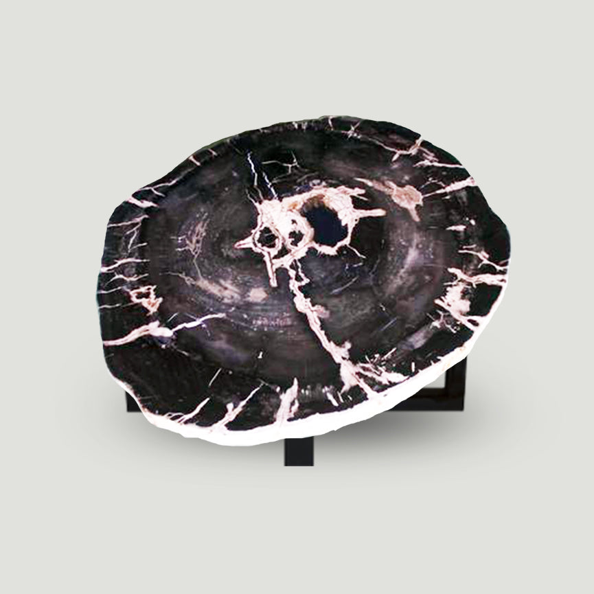 Petrified Wood Slab Coffee Table - 32" x 28m"x  2"H - PFT0437/21-2