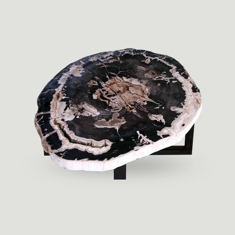 Petrified Wood Slab Coffee Table - 34" x 29"x 2"H - PFT0439/21-2