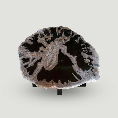 Petrified Wood Slab- 20" x 17"- with Custom Made Base- PF1106 -Coffee Table/ Side Table-3