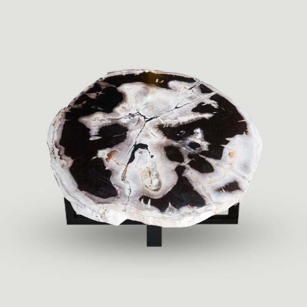 Products Petrified Wood Slab- 25" x 24"- with Custom Made Base- PF-1108 -Coffee Table/ Side Table | ModishStore | Petrified Wood Slabs
