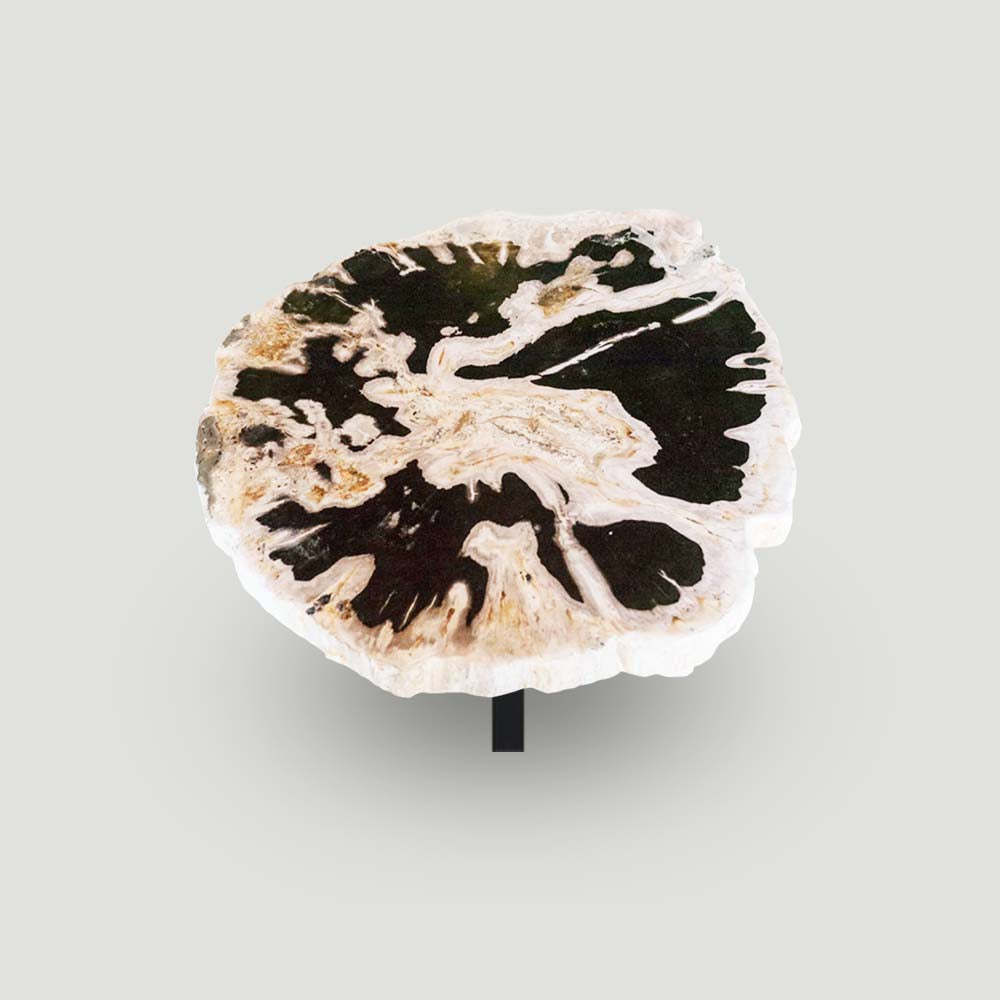 Petrified Wood Slab- 28" x 24"- with Custom Made Base- PF-1112 -Coffee Table/ Side Table | ModishStore | Petrified Wood Slabs