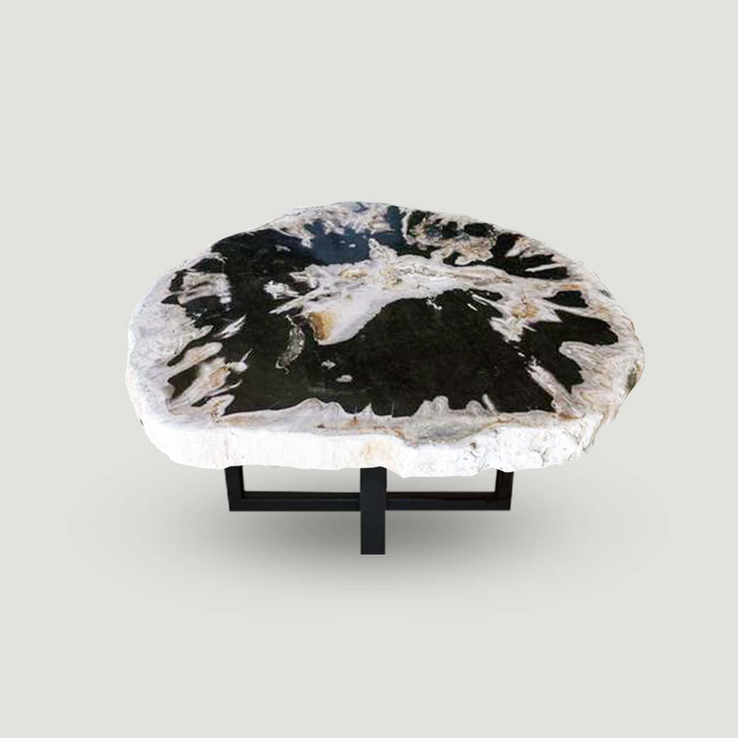 Petrified Wood Slab Use in Coffee Table | End Table PF-1114 by Aire Furniture | Petrified Wood Slabs | Modishstore - 2