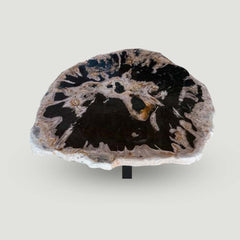 Petrified Wood Slab With Custom Made Base PF-1117  by Aire Furniture