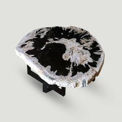 Petrified Wood Slab With Custom Made Base PF-1118  by Aire Furniture
