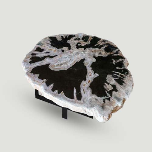 Petrified Wood Slab- 20" x 17"- with Custom Made Base- PF1106 -Coffee Table/ Side Table-2