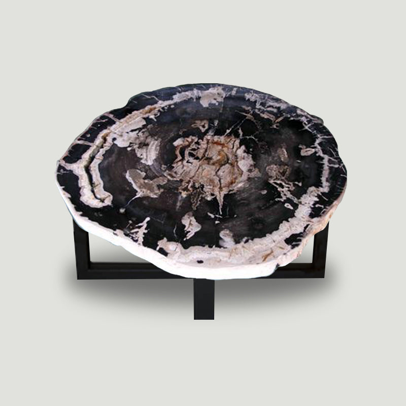 Petrified Wood Slab Coffee Table - 34" x 29"x 2"H - PFT0439/22-3