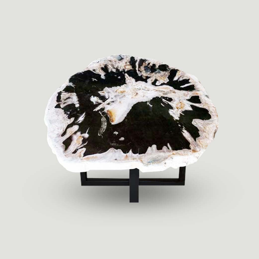 Petrified Wood Slab Use in Coffee Table | End Table PF-1114 by Aire Furniture | Petrified Wood Slabs | Modishstore