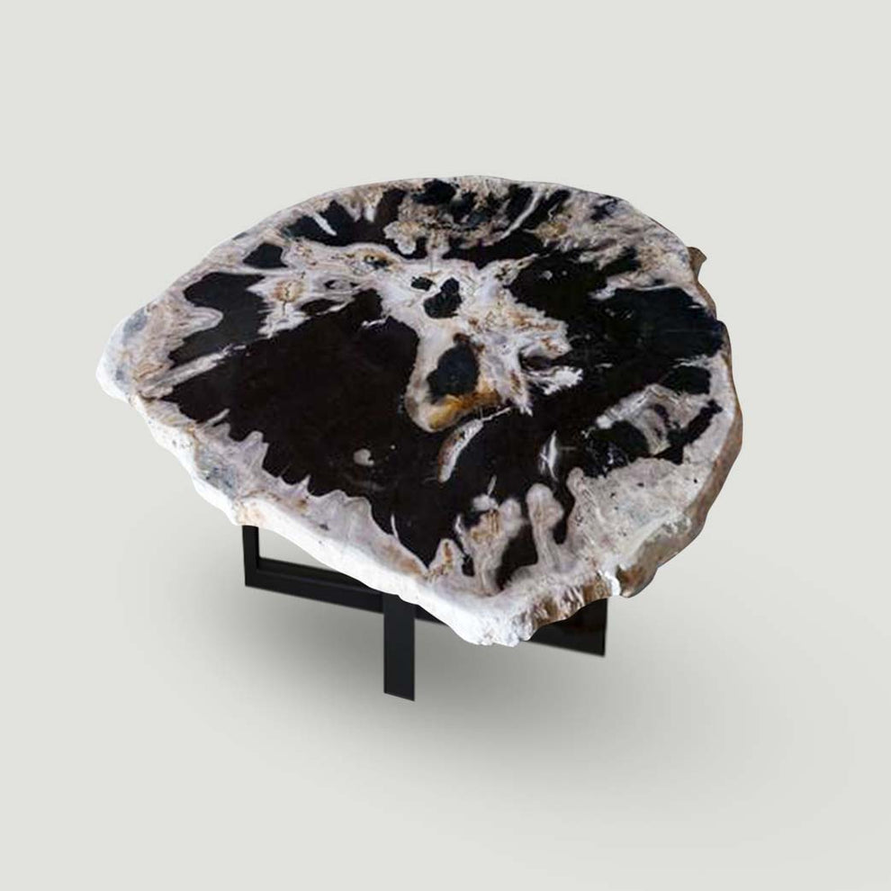 Petrified Wood Slab With Custom Made Base PF-1117  by Aire Furniture | Petrified Wood Slabs | Modishstore - 2