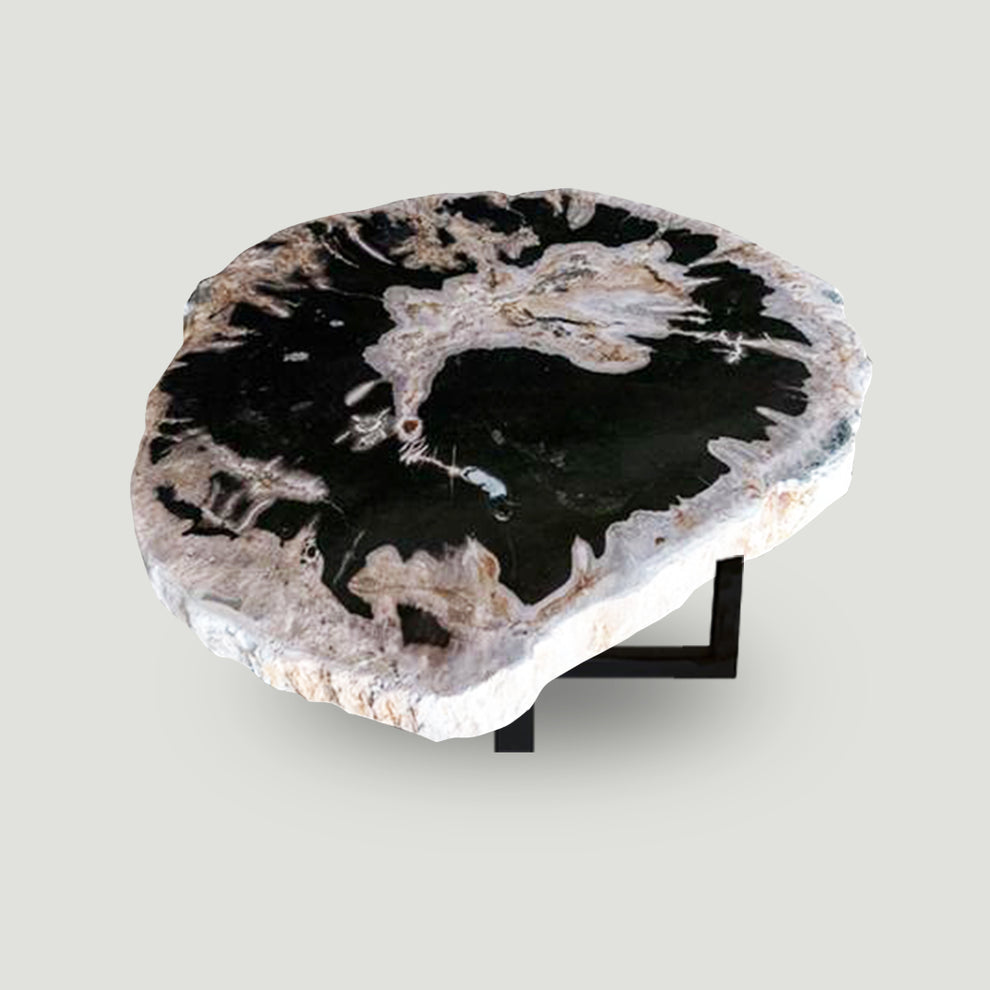 Petrified Wood Slab With Custom Made Base PF-1118  by Aire Furniture | Petrified Wood Slabs | Modishstore - 3