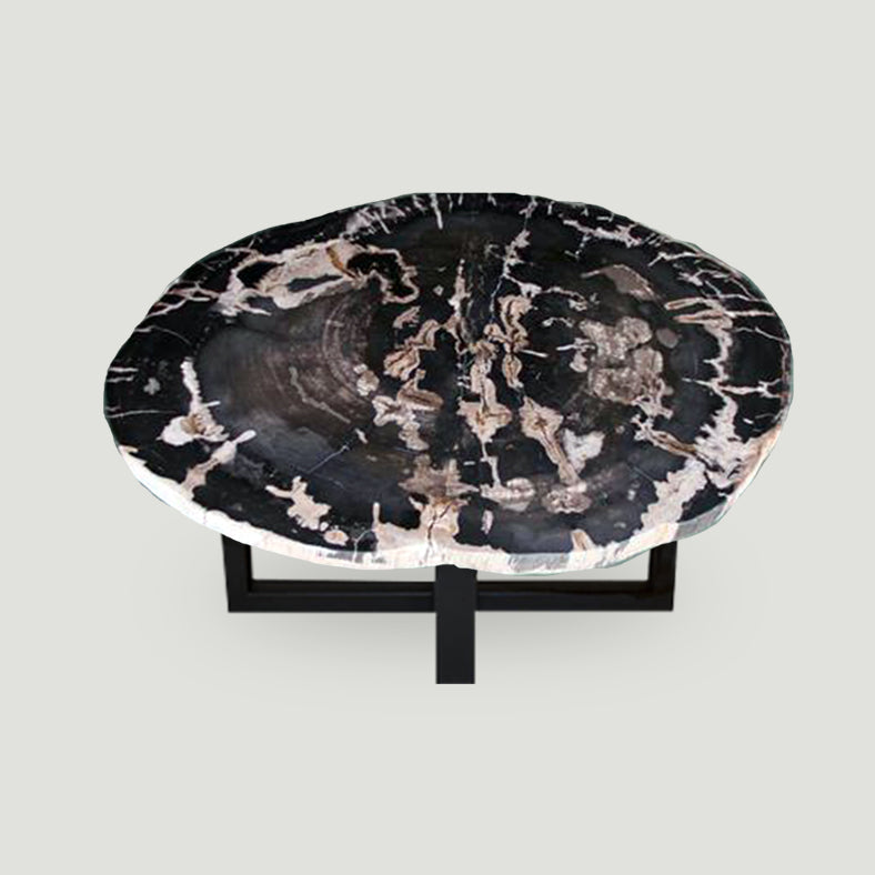 Petrified Wood Slab Coffee Table - 36" x 26" x 2"H - PFT0416/22-3