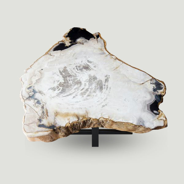 Petrified Wood Slab- 12" x 21"- With Custom Made Base PF1106-3
