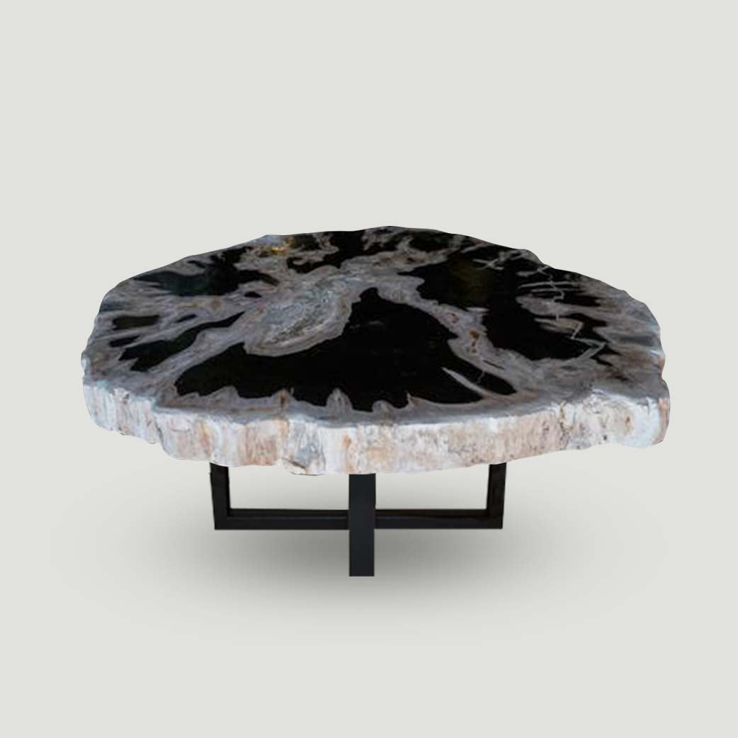 Petrified Wood Slab- 20" x 17"- with Custom Made Base- PF1106 -Coffee Table/ Side Table | ModishStore | Petrified Wood Slabs