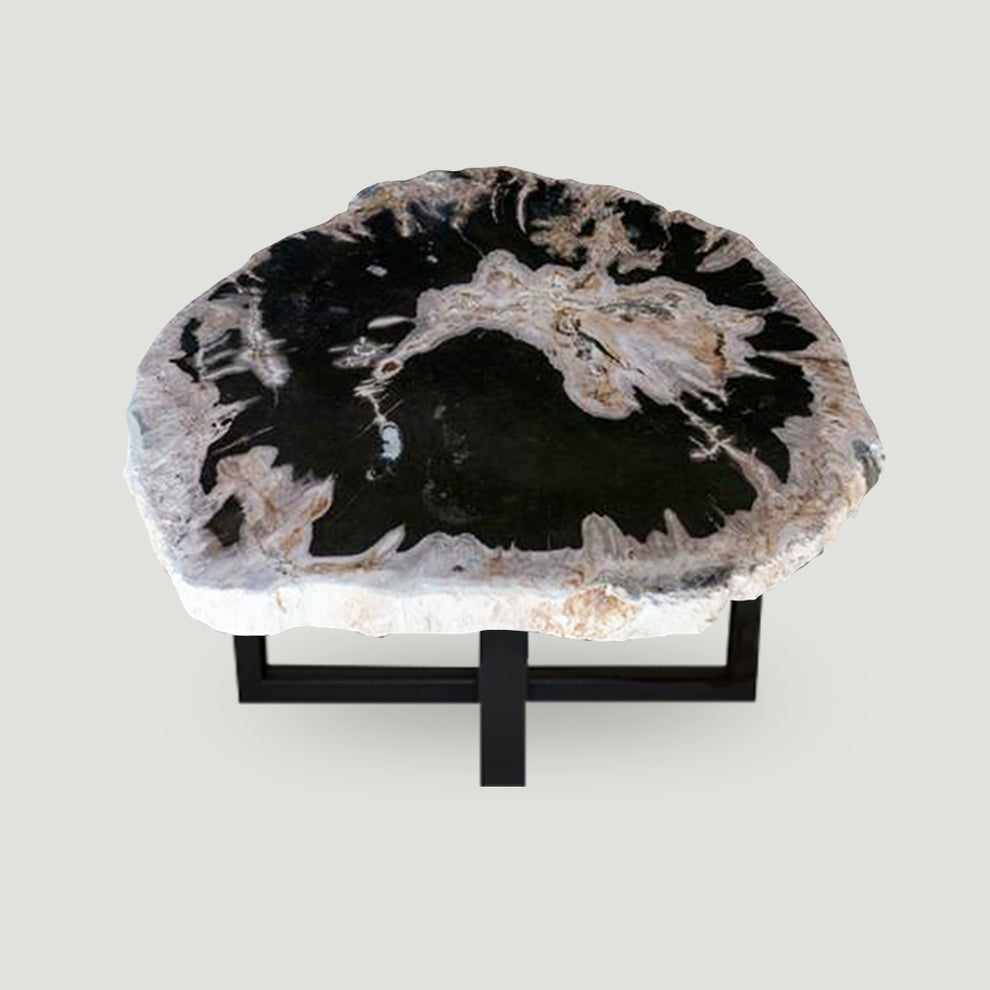 Petrified Wood Slab With Custom Made Base PF-1118  by Aire Furniture | Petrified Wood Slabs | Modishstore - 2