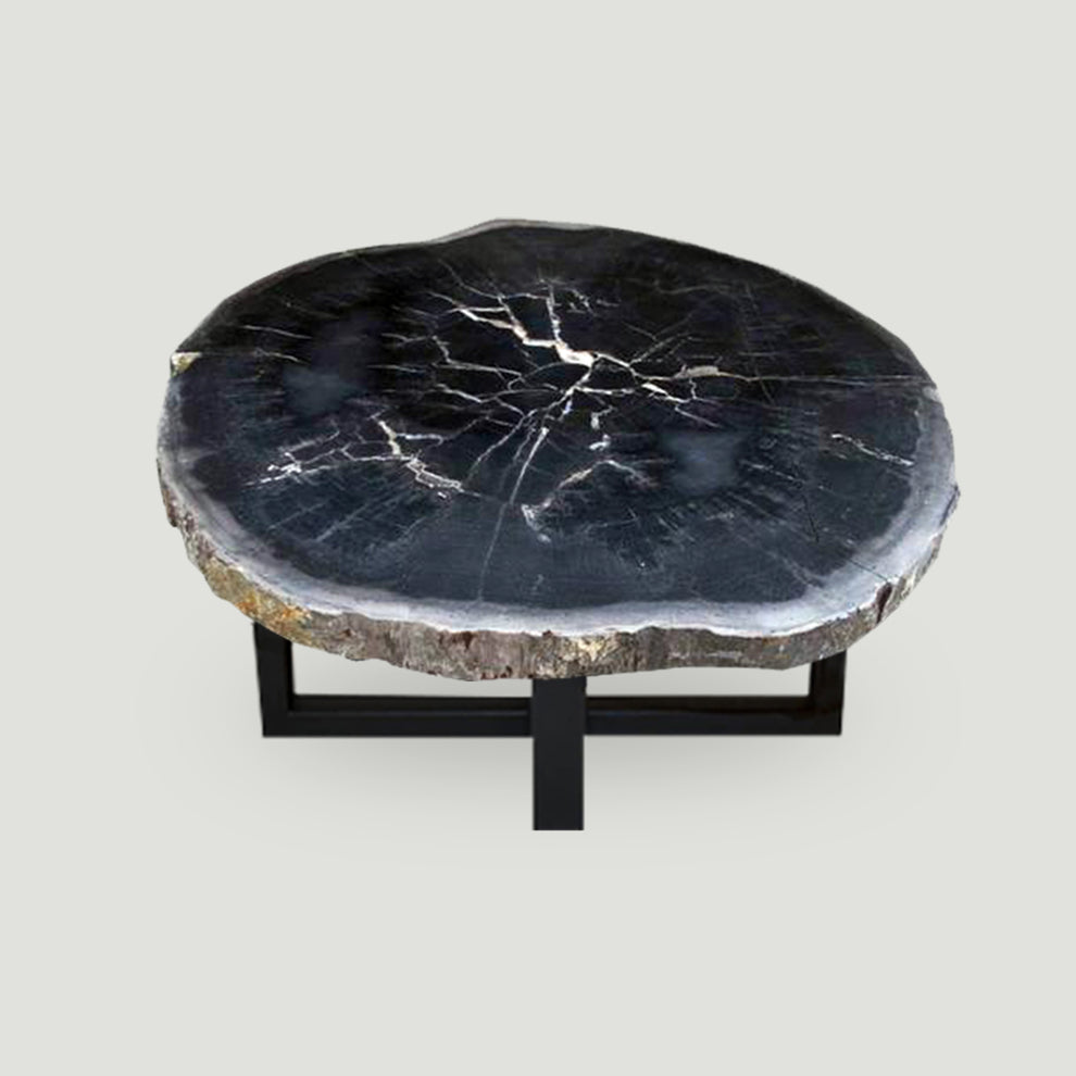 Petrified Wood Slab Coffee Table 26" x 26" x 2"H - PFT0338/21-2