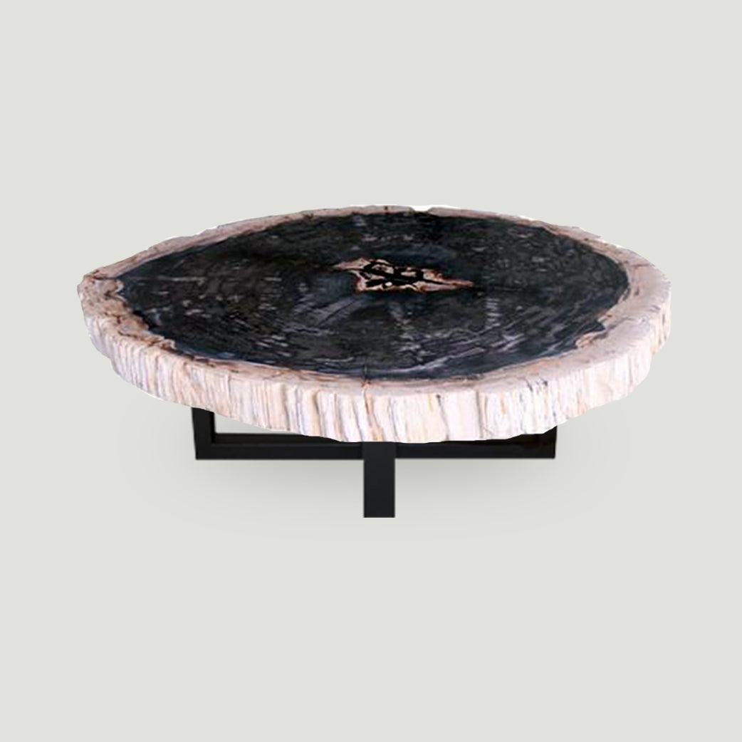 Petrified Wood Slab Coffee Table - 31"x 26"x  2"H - PFT0339/21-2