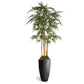 Bamboo Tree in Kawa Planter, Black By Gold Leaf Design Group | Planters, Troughs & Cachepots |  Modishstore