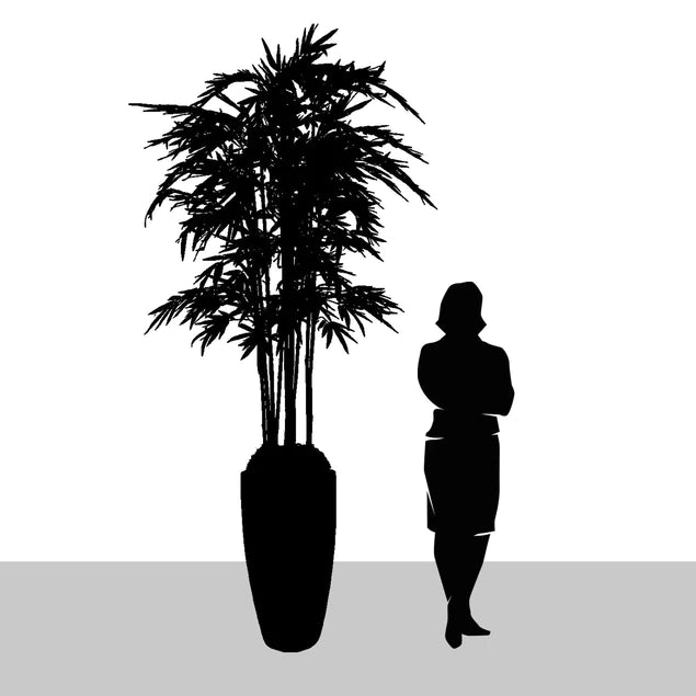 Bamboo Tree in Kawa Planter, Black By Gold Leaf Design Group | Planters, Troughs & Cachepots | Modishstore - 6