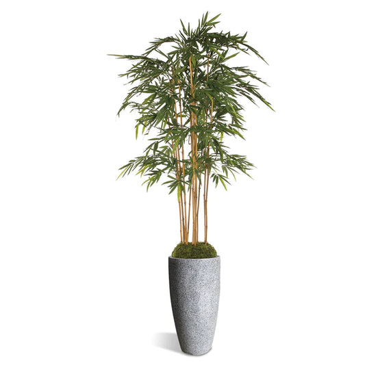 Bamboo Tree in Kawa Planter, Granite White By Gold Leaf Design Group | Planters, Troughs & Cachepots | Modishstore