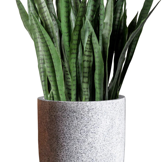 Sansevieria In Kawa Planter, Granite White, Value Engineered By Gold Leaf Design Group | Planters, Troughs & Cachepots | Modishstore - 6